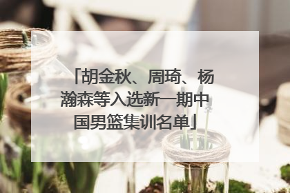 胡金秋、周琦、杨瀚森等入选新一期中国男篮集训名单